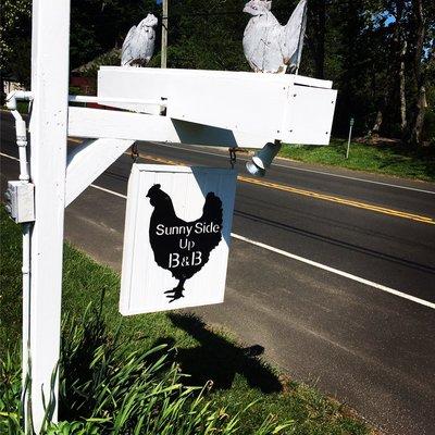 In Cutchogue on the Main Road, look for the black chicken!