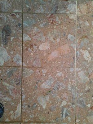 Before and After Grout Cleaning!