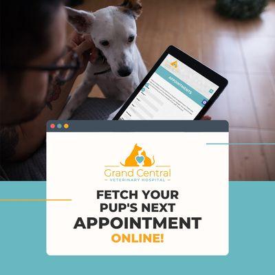 Request your pet's next appointment online!

www.grandcentral.vet/appointments