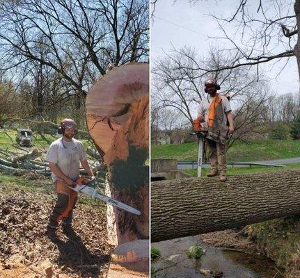 Jameson Tree Pruners