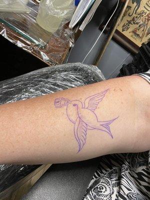 Tattoo stencil