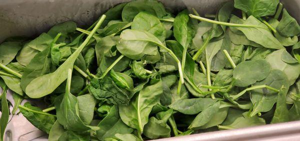 Dried up, shriveled spinach