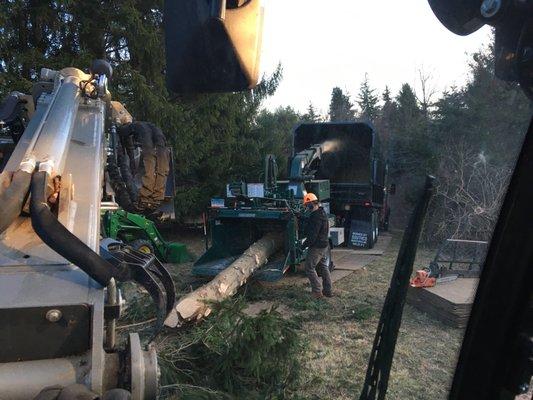 20" tree chipper and grapple machine