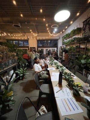 Jungle Journal Workshop - Bullet Journal Introduction - Houseplant 101