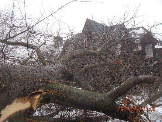 Storm Damage Services.