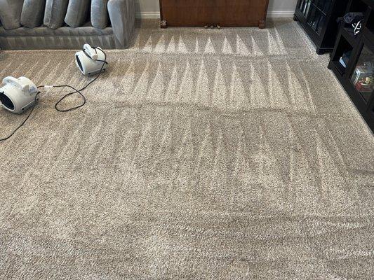 Carpet cleaning