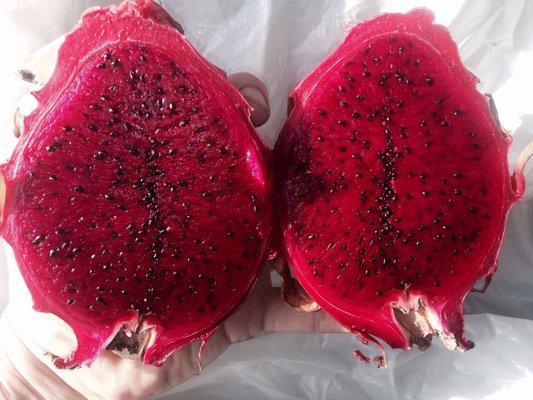 Gorgeous, fuchsia dragonfruit!