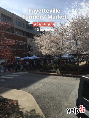 Beautiful morning to be at the farmers market opening day