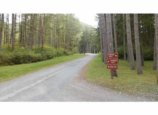 Hyner Run Forest Road.