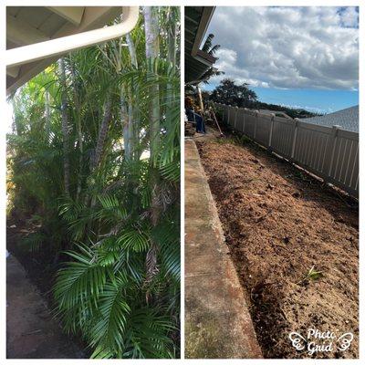 Kahekili Tree Trimming & Landscape