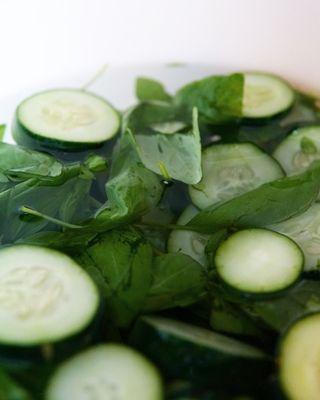 Cucumber & Basil Gin infusion in the works!