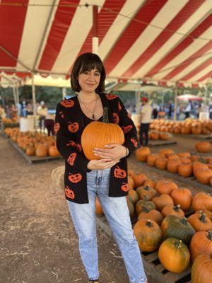 Shaded tent, pumpkins for sale