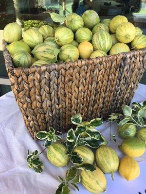 Pink Lemons! Fancy