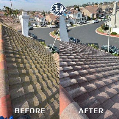 A clean & fresh look for your roof? We got you!