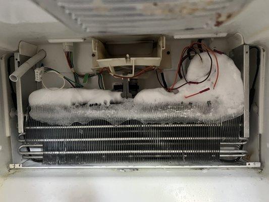 Refrigerator repair. Defrost problem solution