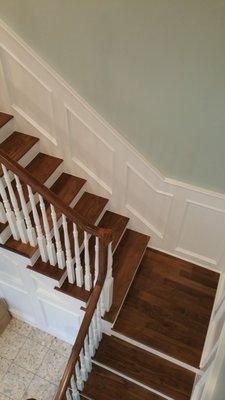 Wainscot panel next to Walnut stair treads and railing