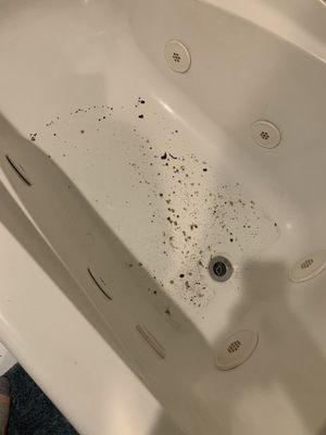 After the first use of the dishwasher that is supposedly working fine, food particles came up in my bathtub.