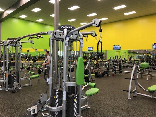 Empty gym with plenty of equipment!