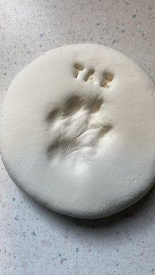 paw print clay mold they did