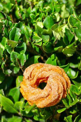 Barrio Donas: Churro Donut