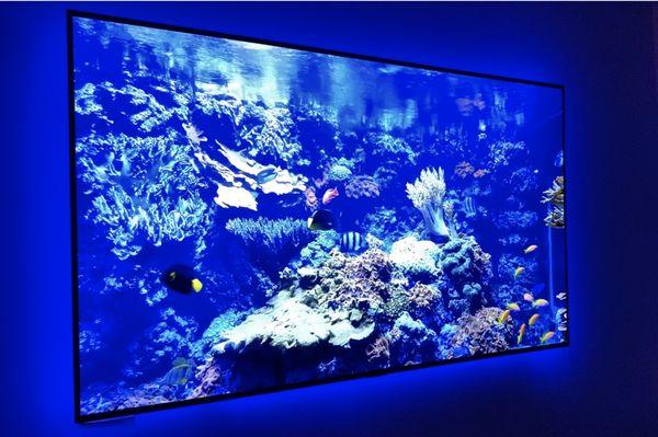 LG 77" OLED looks incredible!