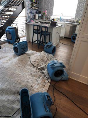 Water Damage Repair Tech setting up air blowers and moisture extraction machines in the kitchen.