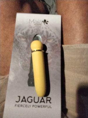 The Jaguar vibrator and I have become very good acquaintance stands up true to its word, the Jaguar . Thanks Chula