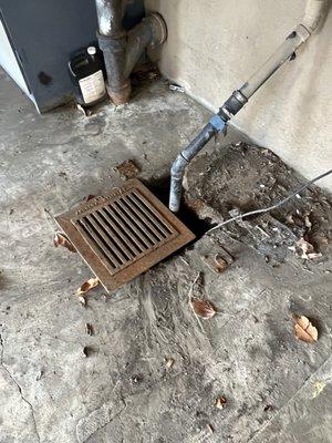 Main sewer line backs up and floods, black mold and cockroaches