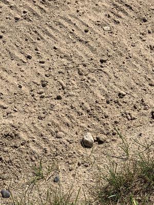 More rocks and stones in a "sand trap"