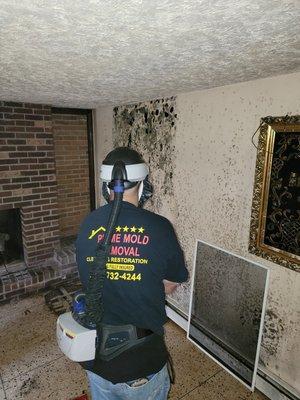 Another mold remediation done by the best ! Prime mold removal (929)732-4244