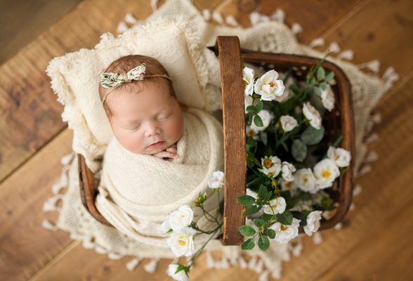 Newborn photography with props in photography studio in santee 92071