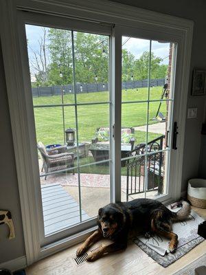 The inside of the sliding glass door. You can see we have big dogs. So the color goes all the way through in case they scratch at it