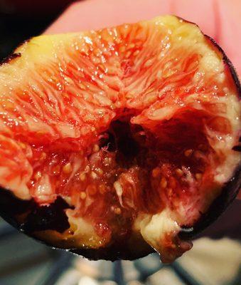 Nothing like a fresh fig in the morning