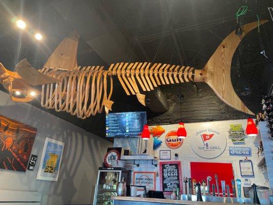 Shark above the bar