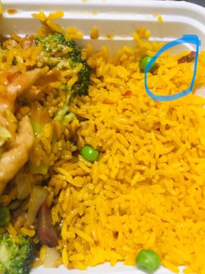 The lone piece of pork among two orders of pork fried rice. Why Sazon?