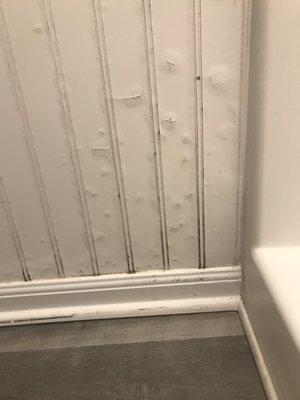 Wood in bathroom is molded and has water damage