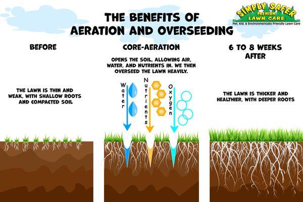 Aeration and overseeding is the best way to keep your lawn healthy and thick, schedule your's for this early fall