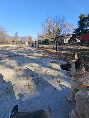 Kearny Dog Park