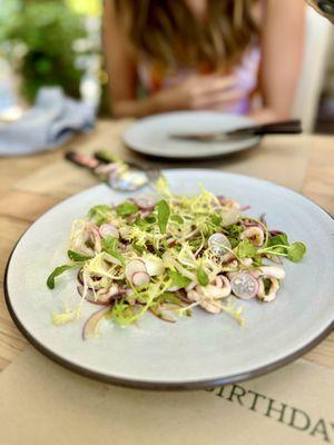 Monterey Bay Squid, arugula, celery & Calabrian chili