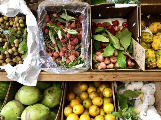 In season produce - longans, lychees, cashew fruit, fresh young coconuts..