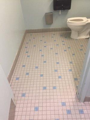 Tile and Grout Cleaning