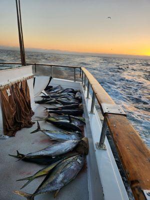 Point Loma Sportfishing