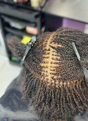 Micro  twist