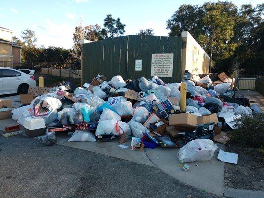 Day after Christmas at the dumpster