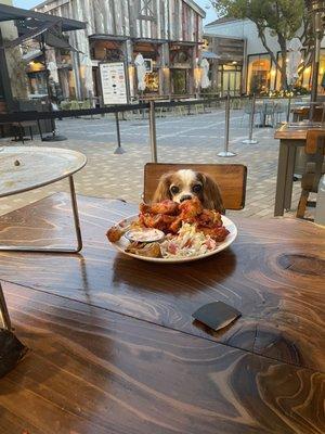 Baked chicken wings and a hard to please diner.