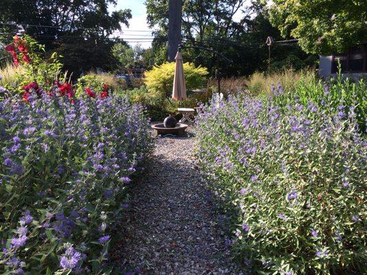 Planting design/installation phase of a multi-year landscaping project.