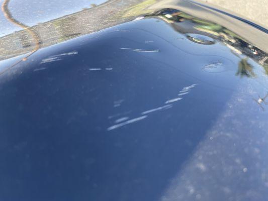 Scratches & Dents