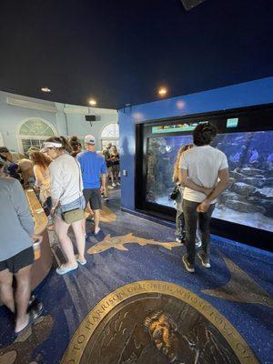 Touch tanks at entrance