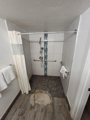 They claim disabled shower.