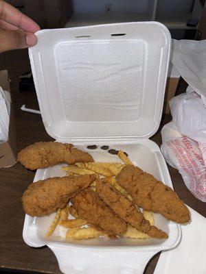 16. Chicken Strips Combo